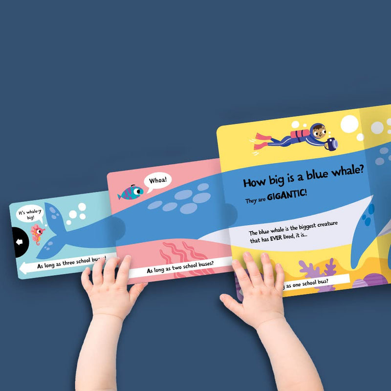 Slide And Seek Board Book