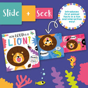 Slide And Seek Board Book