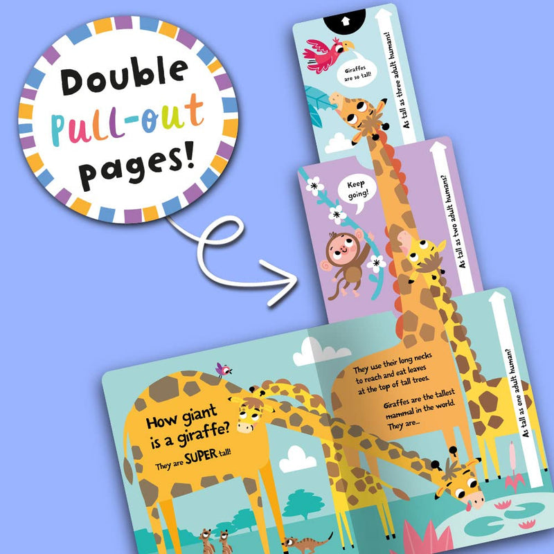 Slide And Seek Board Book