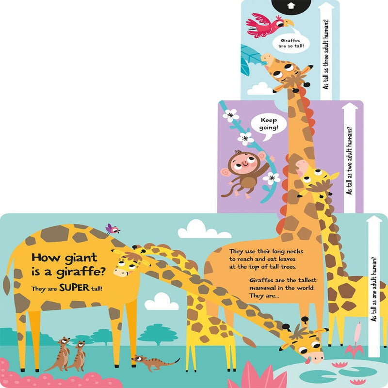 Slide And Seek Board Book