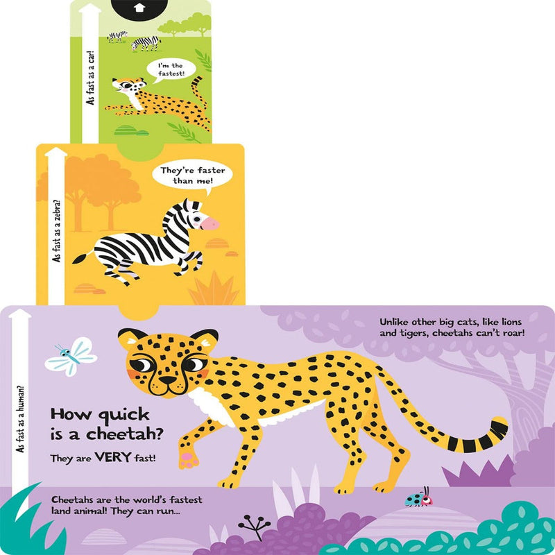 Slide And Seek Board Book