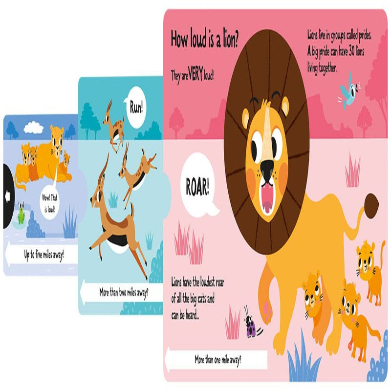 Slide And Seek Board Book