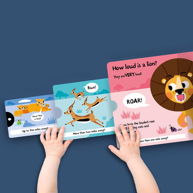 Slide And Seek Board Book