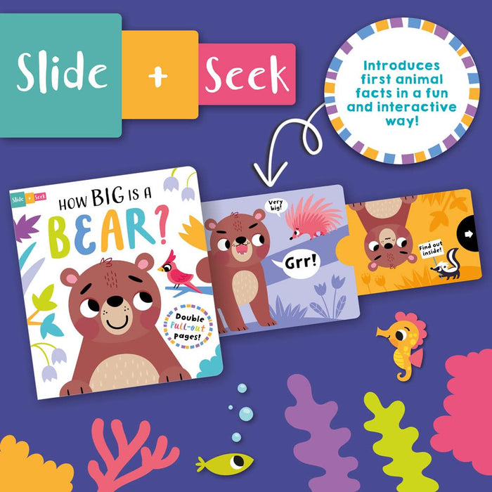 Slide And Seek Board Book-Board Book-Toycra Books-Toycra
