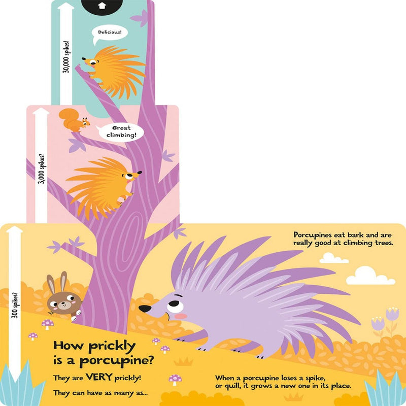 Slide And Seek Board Book