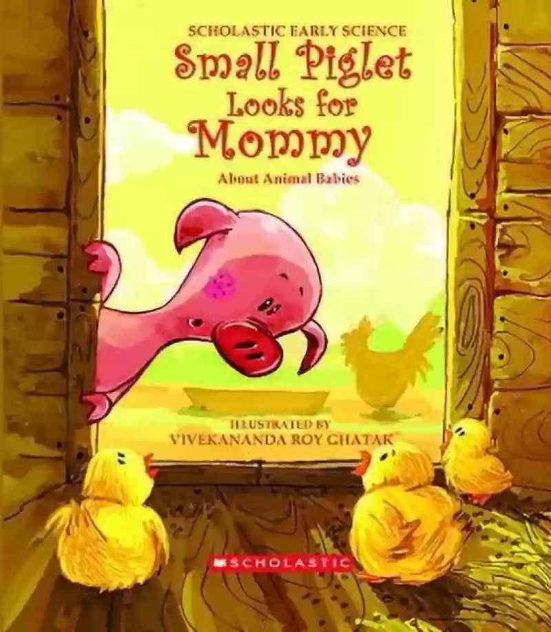 Small Piglet Looks For Mommy