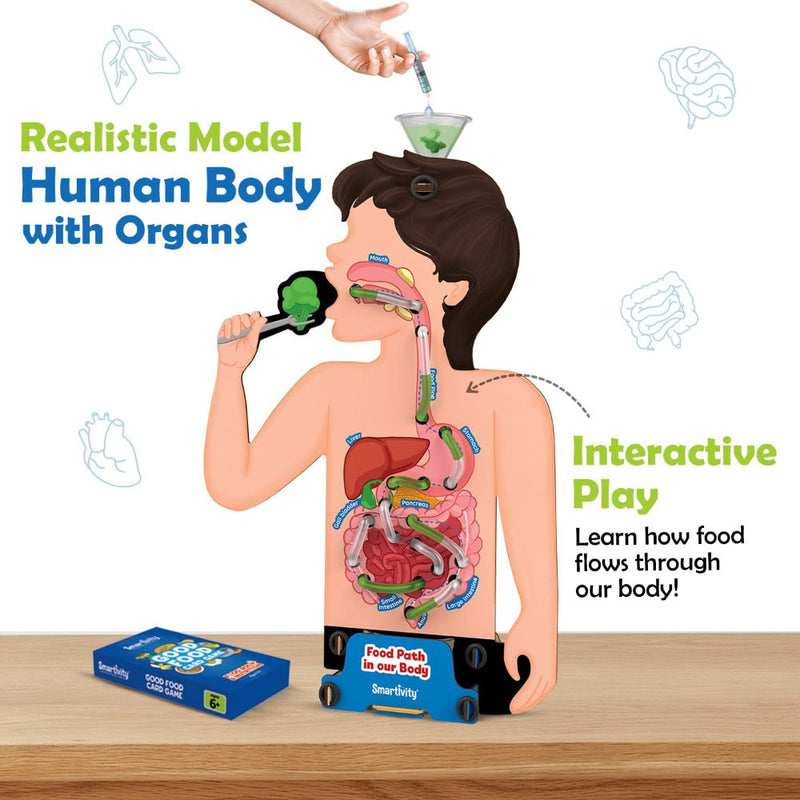 Smartivity Food Body & Nutrition Kit
