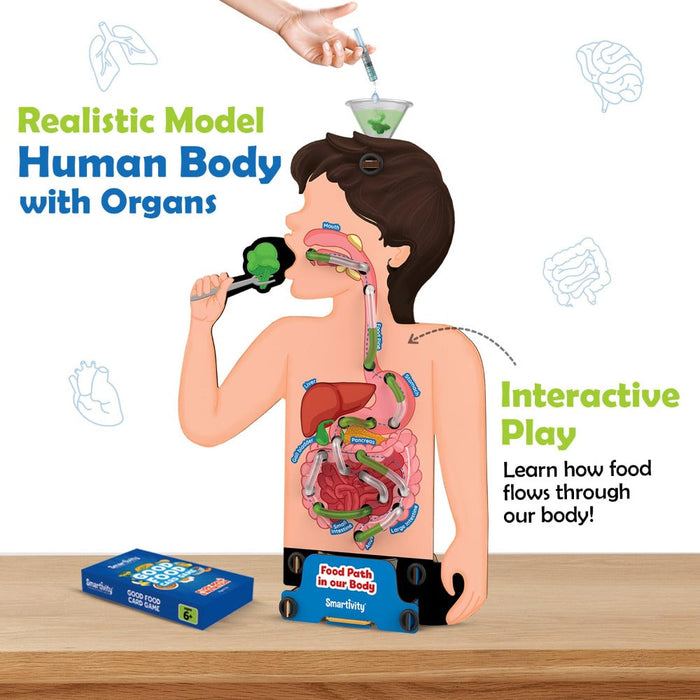 Smartivity Food Body & Nutrition Kit-STEM toys-Smartivity-Toycra