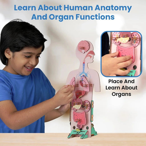 Smartivity Human Body DIY STEM Toy-STEM toys-Smartivity-Toycra