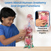 Smartivity Human Body DIY STEM Toy-STEM toys-Smartivity-Toycra