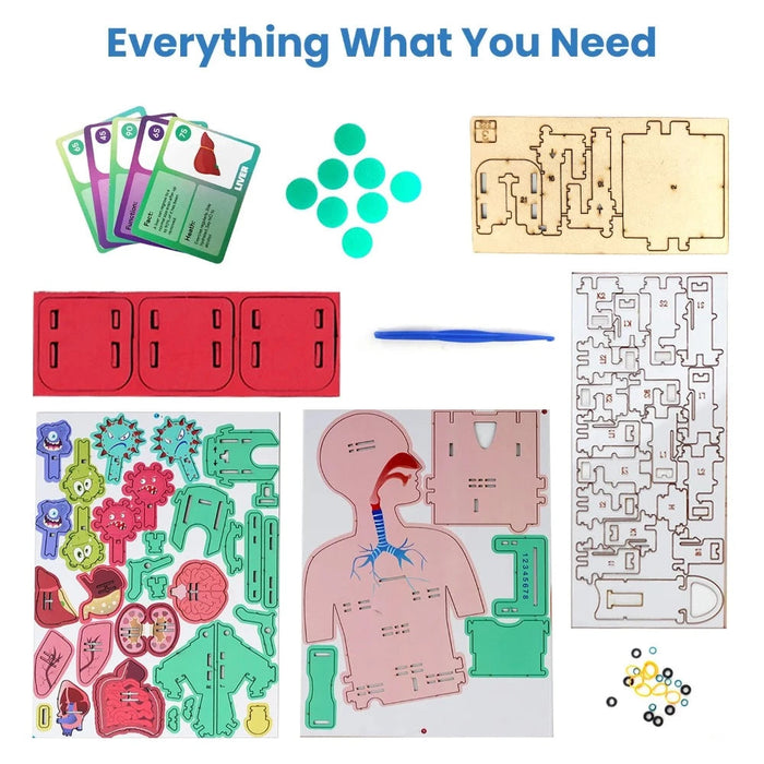 Smartivity Human Body DIY STEM Toy-STEM toys-Smartivity-Toycra