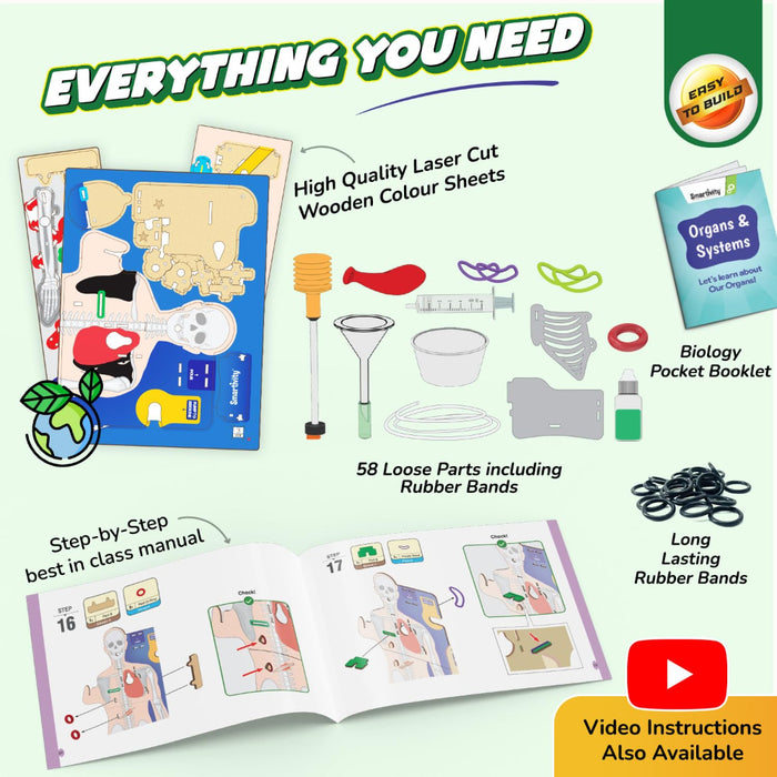 Smartivity Interactive Human Body-STEM toys-Smartivity-Toycra