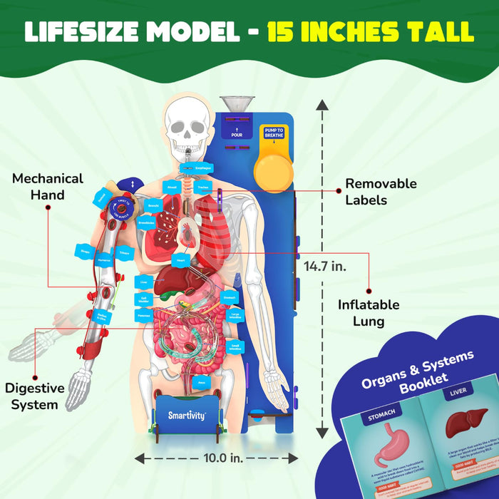 Smartivity Interactive Human Body-STEM toys-Smartivity-Toycra