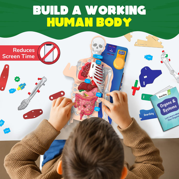 Smartivity Interactive Human Body-STEM toys-Smartivity-Toycra