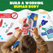 Smartivity Interactive Human Body-STEM toys-Smartivity-Toycra