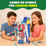 Smartivity Interactive Human Body