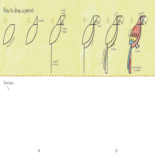 Step By Step Drawing Animals-Activity Books-usb-Toycra