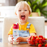 Stephen Joseph Sip and Snack Bottles