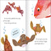 Stories From The Sea-Story Books-SBC-Toycra