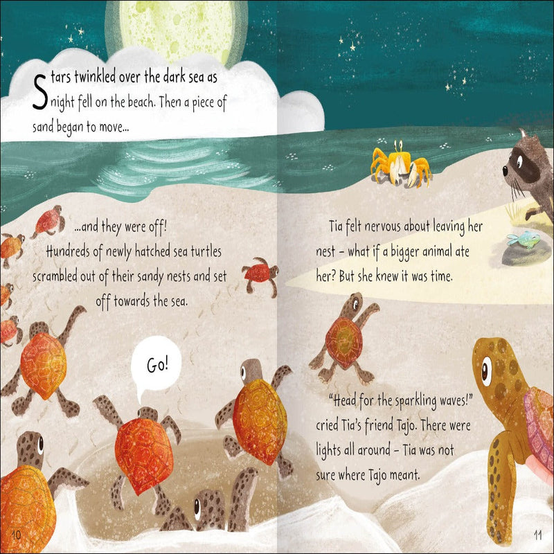 Stories From The Sea