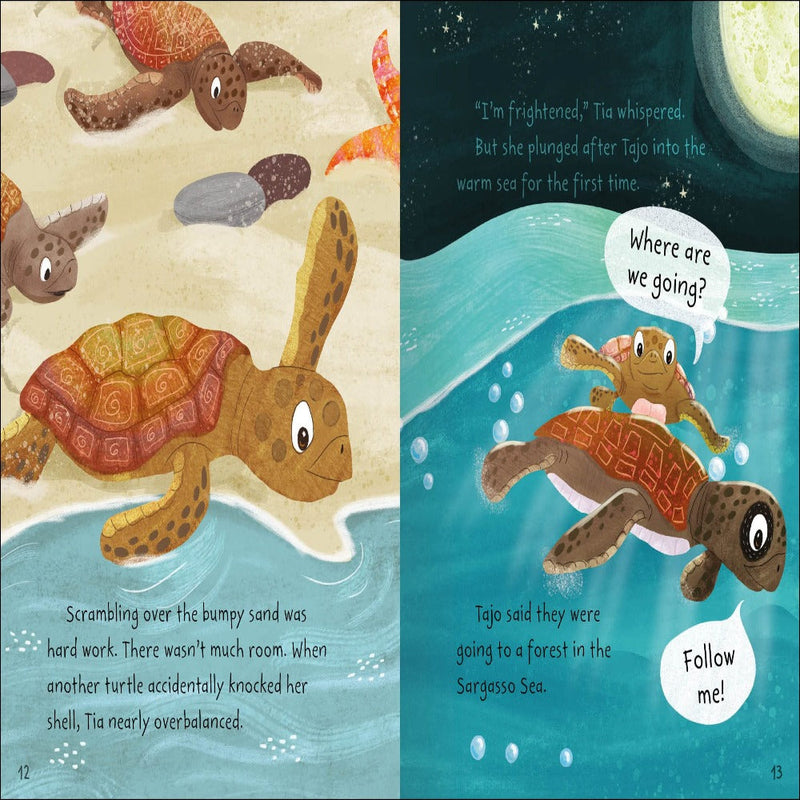 Stories From The Sea