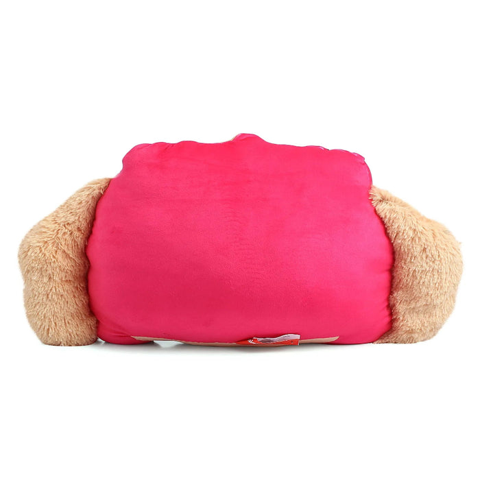 Striders Impex Paw Patrol Skye Face Cushion Plush Toys - 30 Cm-Soft Toy-Striders Impex-Toycra