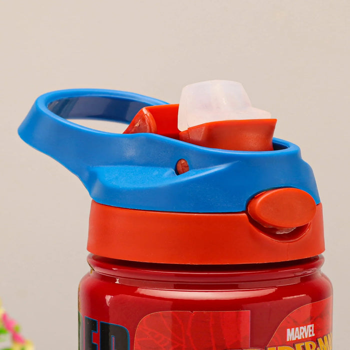 Striders Impex Stainless Steel Insulated Hot & Cold Sipper Bottle - 500 Ml-LunchBox & Water Bottles-Striders Impex-Toycra