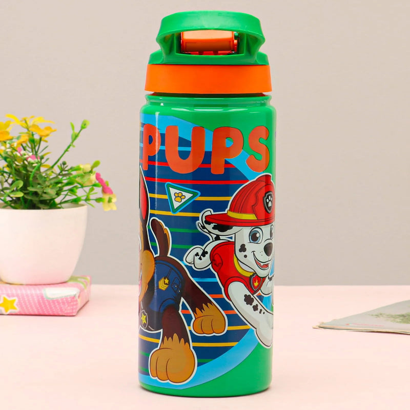 Striders Impex Stainless Steel Insulated Hot & Cold Sipper Bottle - 500 Ml