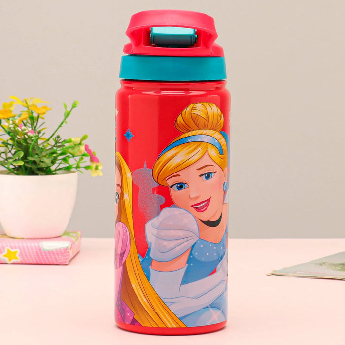 Striders Impex Stainless Steel Insulated Hot & Cold Sipper Bottle - 500 Ml-LunchBox & Water Bottles-Striders Impex-Toycra