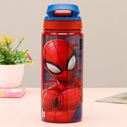 Striders Impex Stainless Steel Insulated Hot & Cold Sipper Bottle - 500 Ml