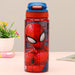 Striders Impex Stainless Steel Insulated Hot & Cold Sipper Bottle - 500 Ml-LunchBox & Water Bottles-Striders Impex-Toycra