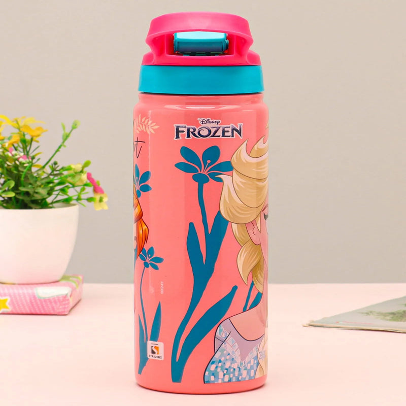 Striders Impex Stainless Steel Insulated Hot & Cold Sipper Bottle - 500 Ml