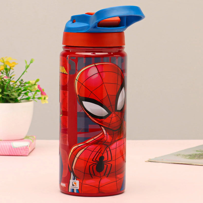 Striders Impex Stainless Steel Insulated Hot & Cold Sipper Bottle - 500 Ml