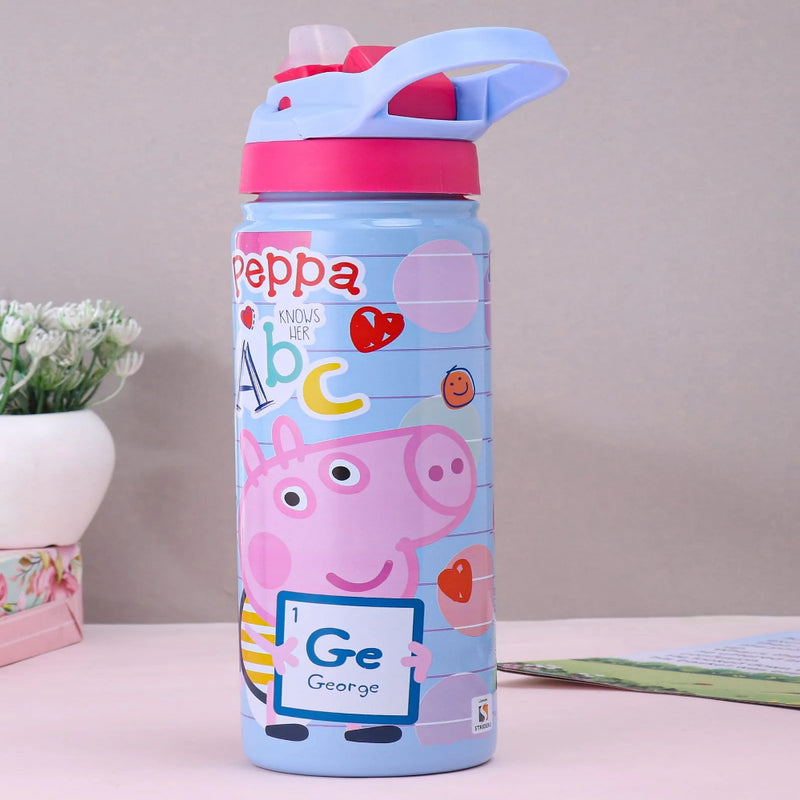 Striders Impex Stainless Steel Insulated Hot & Cold Sipper Bottle - 500 Ml