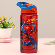 Striders Impex Stainless Steel Insulated Hot & Cold Sipper Bottle - 500 Ml