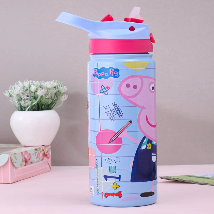 Striders Impex Stainless Steel Insulated Hot & Cold Sipper Bottle - 500 Ml-LunchBox & Water Bottles-Striders Impex-Toycra