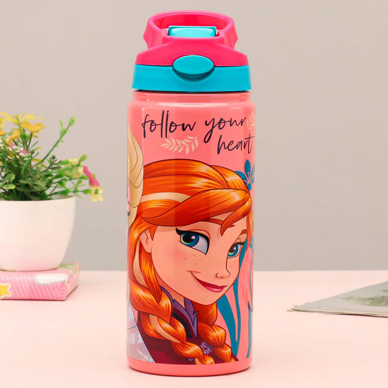 Striders Impex Stainless Steel Insulated Hot & Cold Sipper Bottle - 500 Ml
