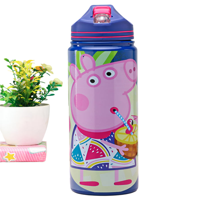 Striders Impex Stainless Steel Insulated Single wall Sipper Bottle - 500 Ml-LunchBox & Water Bottles-Striders Impex-Toycra