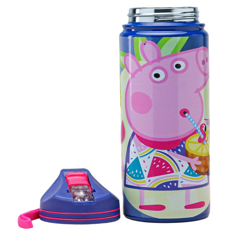 Striders Impex Stainless Steel Insulated Single wall Sipper Bottle - 500 Ml