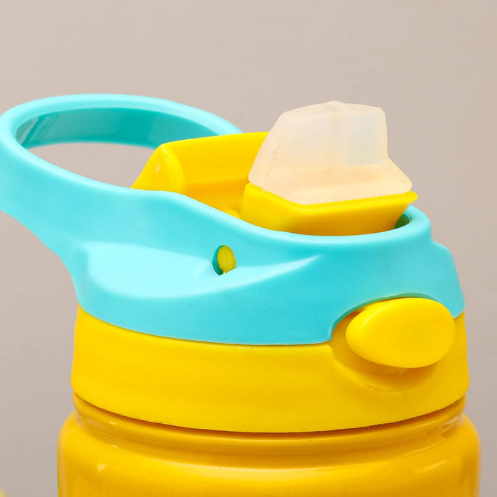 Striders Impex Stainless Steel Insulated Sipper Bottle - 700 Ml-LunchBox & Water Bottles-Striders Impex-Toycra