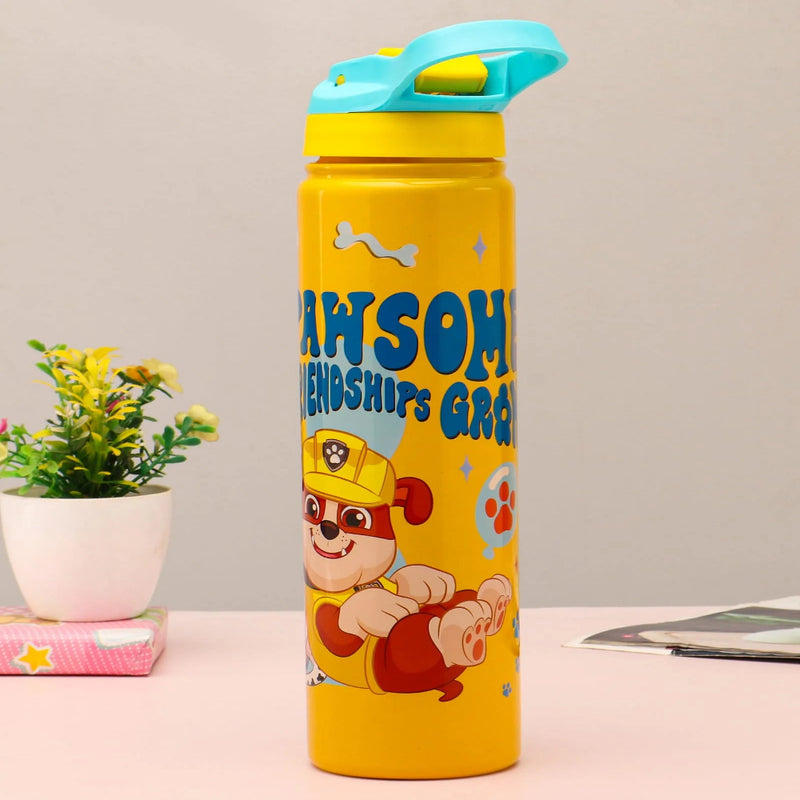Striders Impex Stainless Steel Insulated Sipper Bottle - 700 Ml