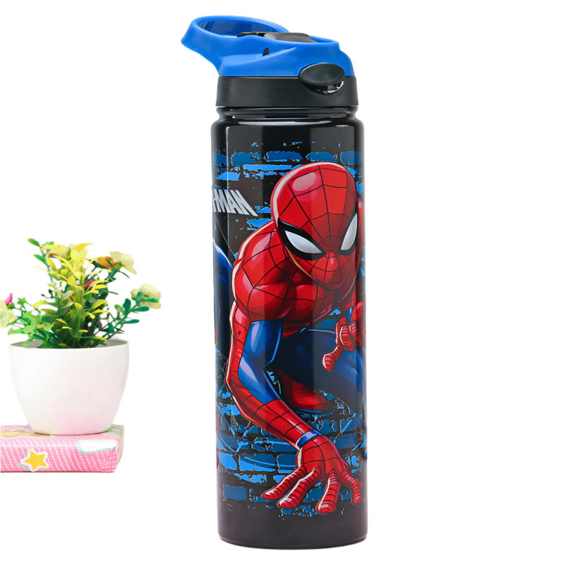 Striders Impex Stainless Steel Insulated Sipper Bottle - 700 Ml