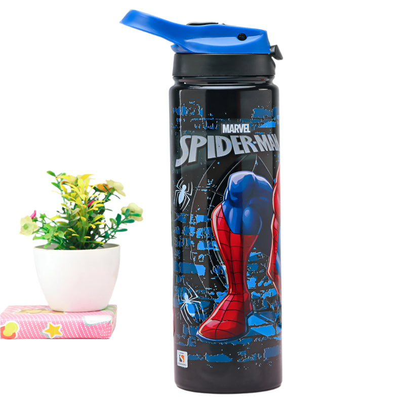 Striders Impex Stainless Steel Insulated Sipper Bottle - 700 Ml
