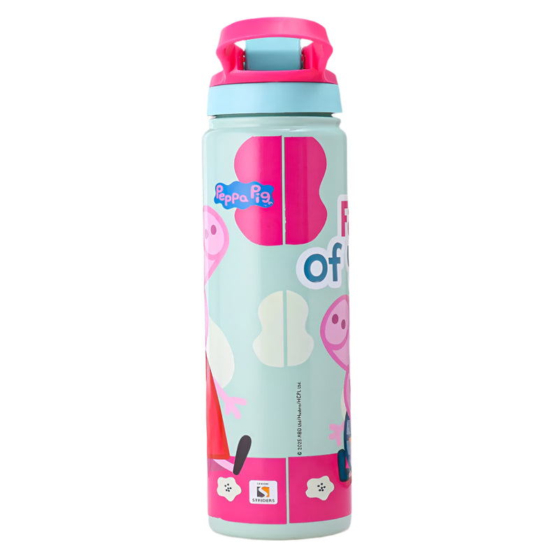 Striders Impex Stainless Steel Insulated Sipper Bottle - 700 Ml