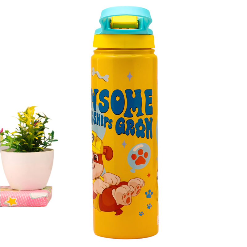 Striders Impex Stainless Steel Insulated Sipper Bottle - 700 Ml