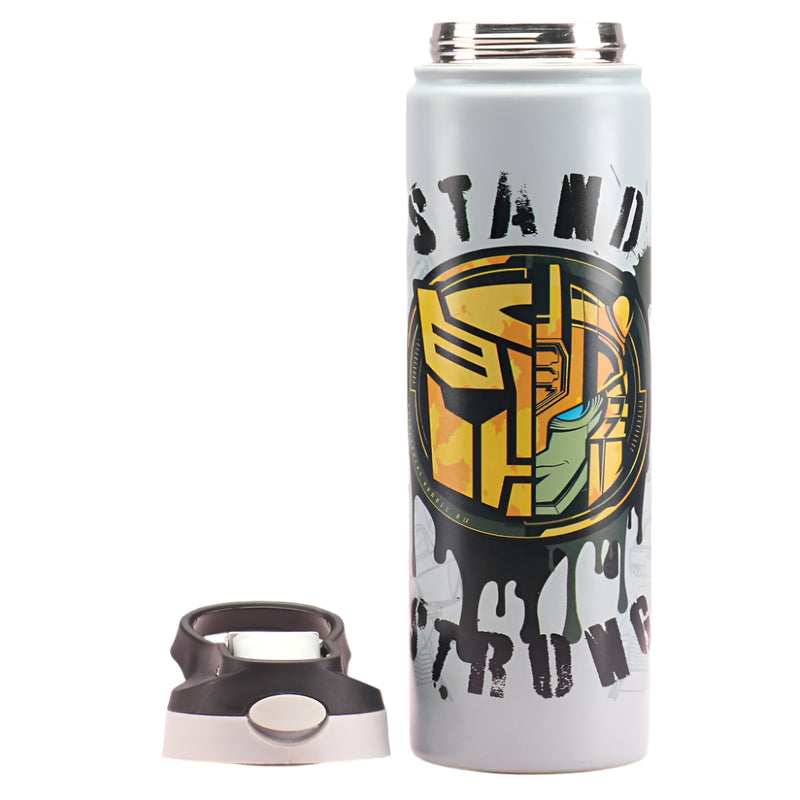 Striders Impex Stainless Steel Insulated Sipper Bottle - 700 Ml