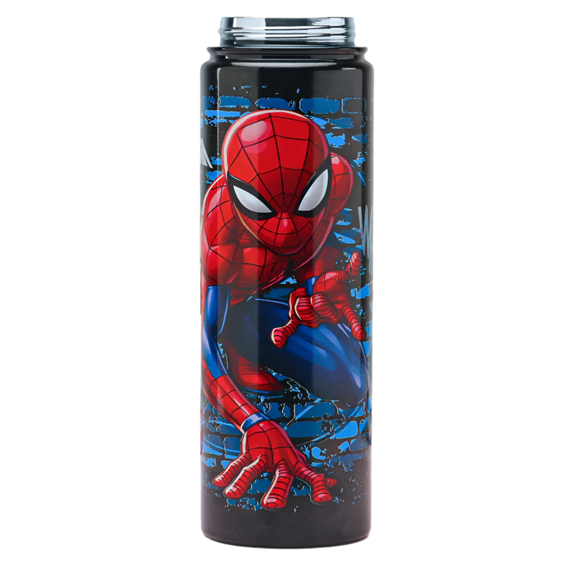 Striders Impex Stainless Steel Insulated Sipper Bottle - 700 Ml
