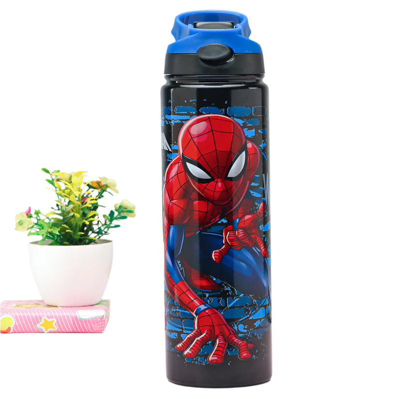 Striders Impex Stainless Steel Insulated Sipper Bottle - 700 Ml