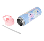 Striders Insulated Sipper 600 Ml