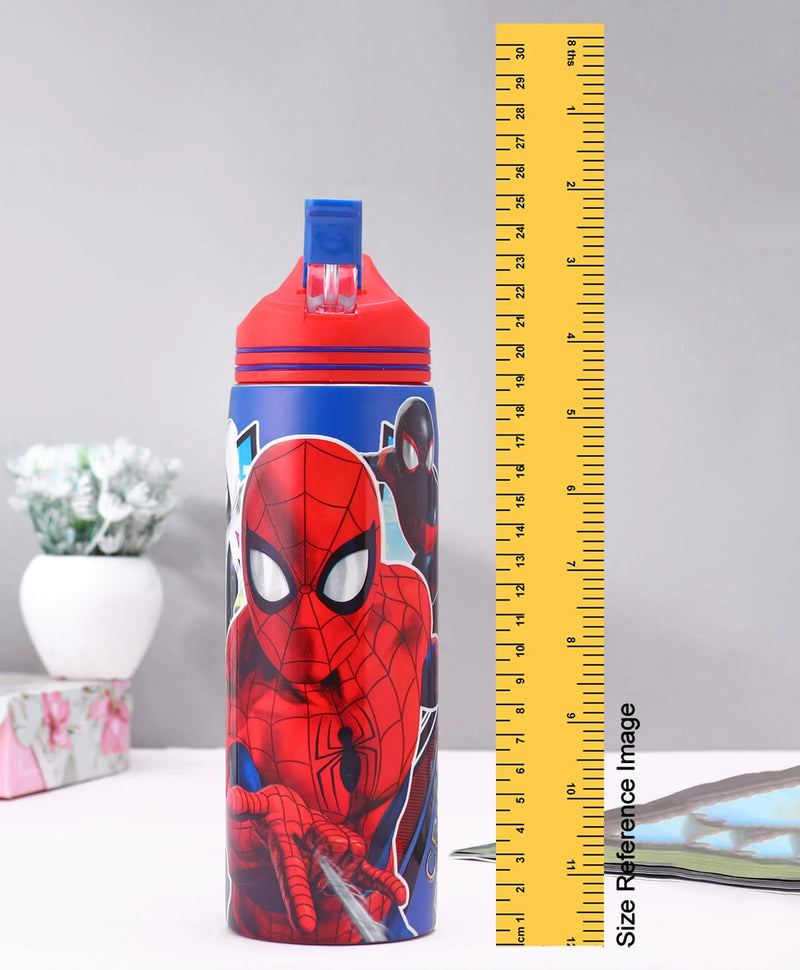 Striders Stainless Steel Sipper Water Bottle - 700Ml